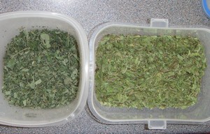 dried mint and lemonbalm from the garden dried mint and lemonbalm from the garden