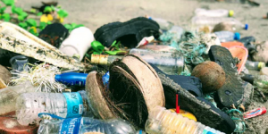 6 Ways to Reduce Food Waste