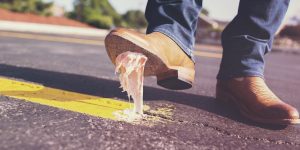 The environmental impact of litter - and how a Zero Waste lifestyle provides a solution
